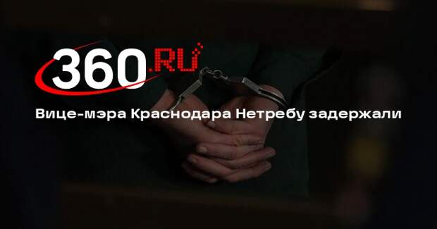 Вице-мэра Краснодара Нетребу задержали