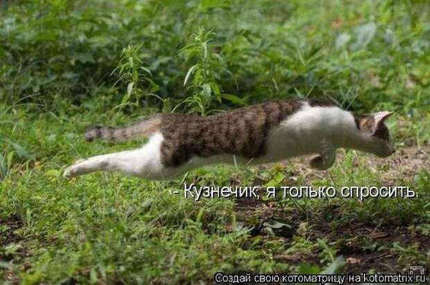 Мысли вслух :)
