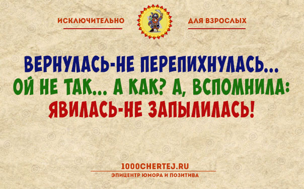 Авторизация пройдена! Подборка анекдотов для тех, кто считает себя взрослым