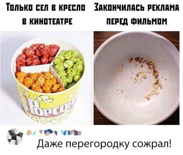 kartinok-prikolnyh-podborka-kartinki-smeshnye-kartinki-fotoprikoly