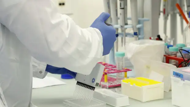 Власти Вологодской области прокомментировали ситуацию с COVID-19