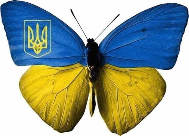 Все украинские символы у кого-то позаимствованы