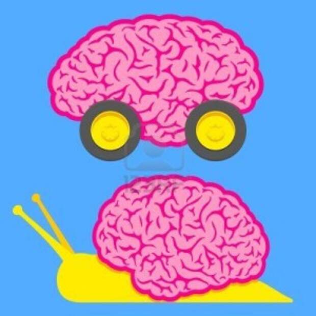 http://s-mind.ru/wp-content/uploads/2012/08/7276251-fast-brain-on-wheels-and-slow-snail-brain-300x300.jpg