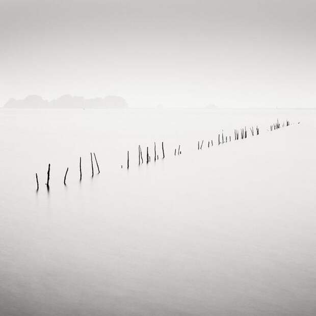 Лучшие фотографии International Photography Awards (IPA) 2007