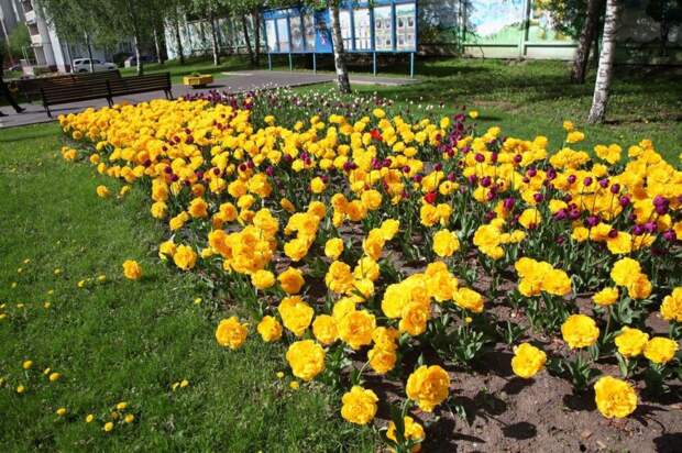 Собянин: ВДНХ продолжает набирать популярность и среди москвичей. Фото: Роман Балеев