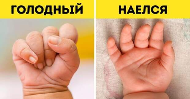 17 знаков, с помощью которых ребенок хочет что-то сказать, когда еще не умеет говорить