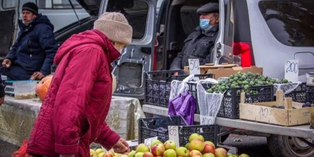 Ценовой удар: яблоки в России резко подорожали — названа неожиданная причина