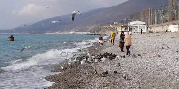 Россиянка, переехавшая в Сочи, раскрыла обратную сторону курортной жизни