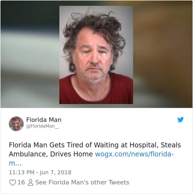 Florida-Man-Headings