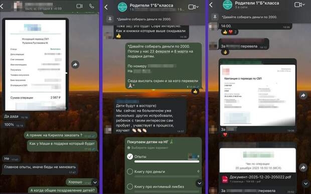 Жительница Челябинска нарвалась на 115-ФЗ после сбора денег на новогодние