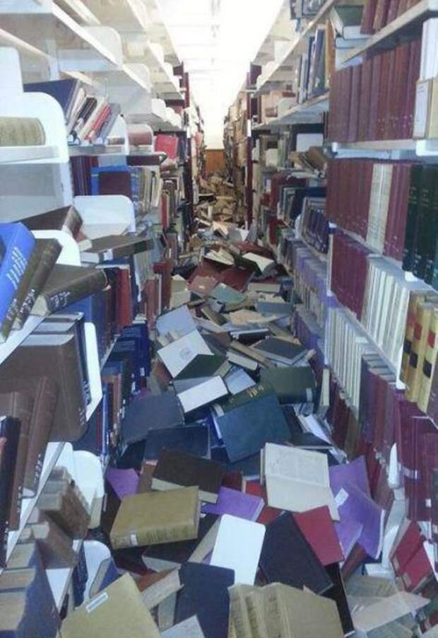 Прикольные картинки Прикольные картинки