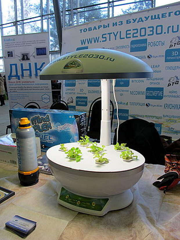 Geek Picnic (Moscow; 2014-01-26) 12.JPG