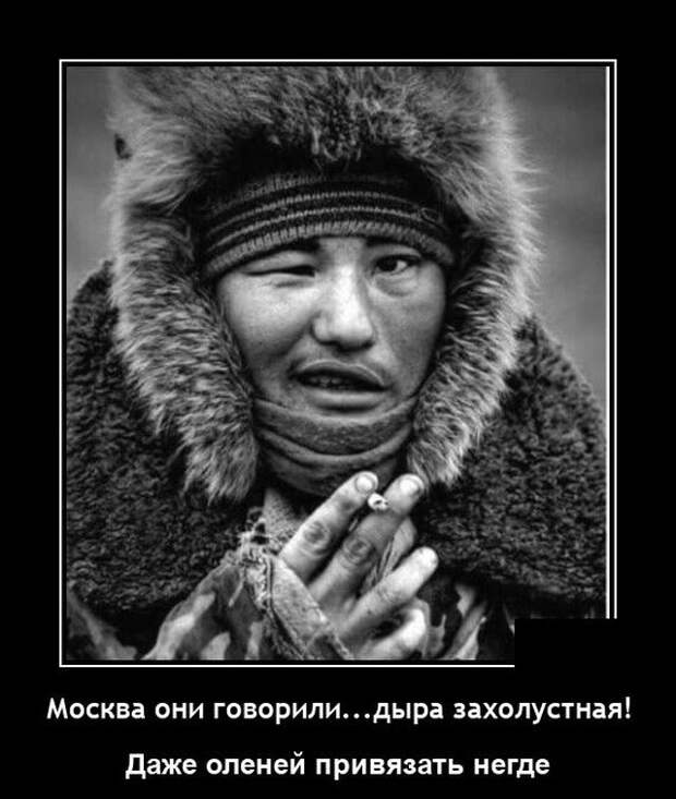 Демотиватор про оленей