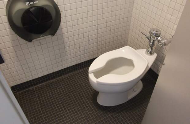 Как американцы обходятся без ершиков в туалетах