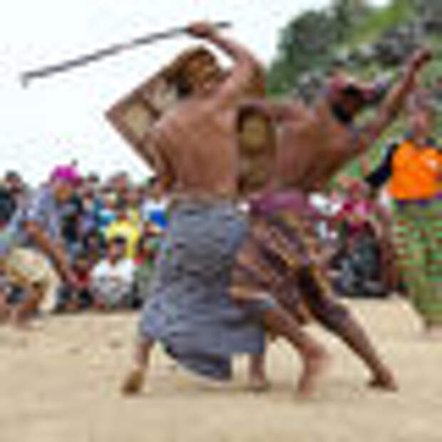 The festivities also include ritual combat.