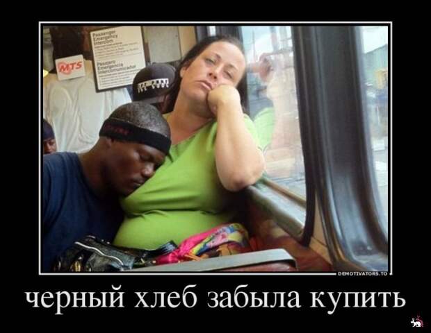 Блоги.  -  