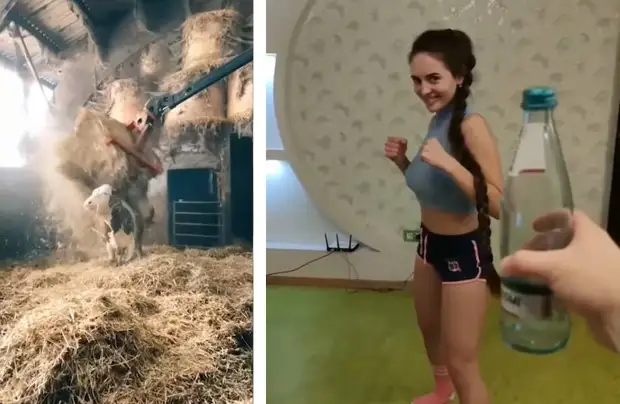 40 самых невероятных моментов, снятых на камеру