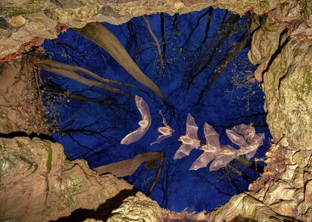 Мир глазами победителей фотоконкурса