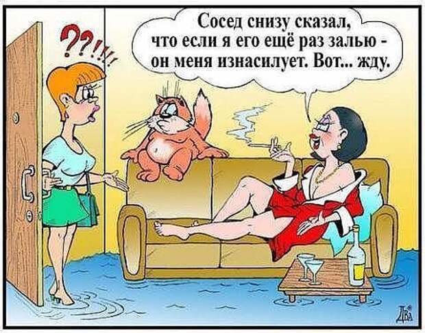 Прикольные картинки