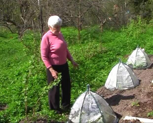 Советы, которыми щедро делится Галина Александровна Кизима, оправдали себя в ее личном опыте, а также на практике ее многочисленных последователей и учеников