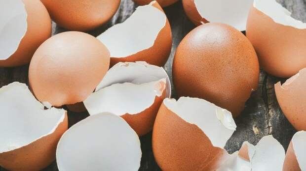 Кофе, масло и многое другое: продукты, которые не стоит сливать в раковину