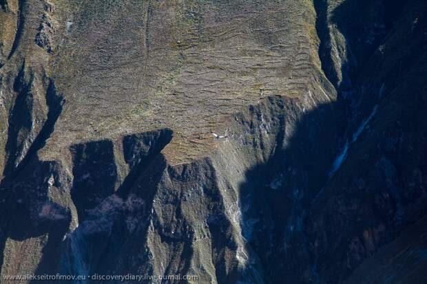 colca05 Спускаемся в глубочайший каньон на Земле