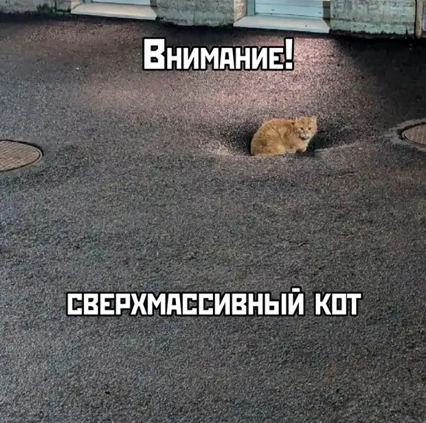 Спасибо за внимание мем химия