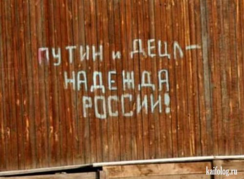 Все на выборы (50 фото + видео)
