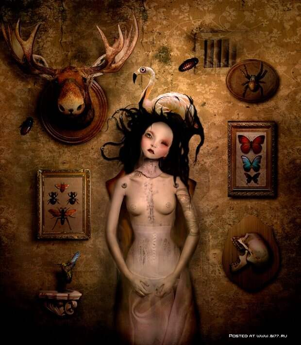 Фотограф-иллюстратор из Литвы - Natalie Shau