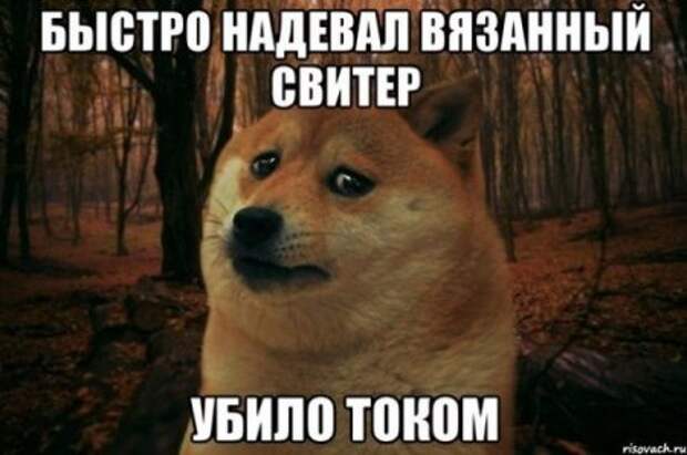 Веселые картинки и приколы для вас!