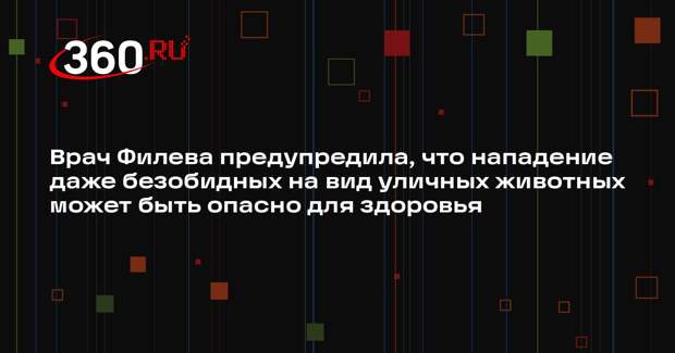 Врач Филева предупредила, что нападение даже безобидных на вид уличных животных может быть опасно для здоровья