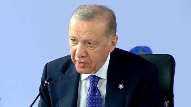 Эрдоган отреагировал на идею создания союза Турции, России и Китая