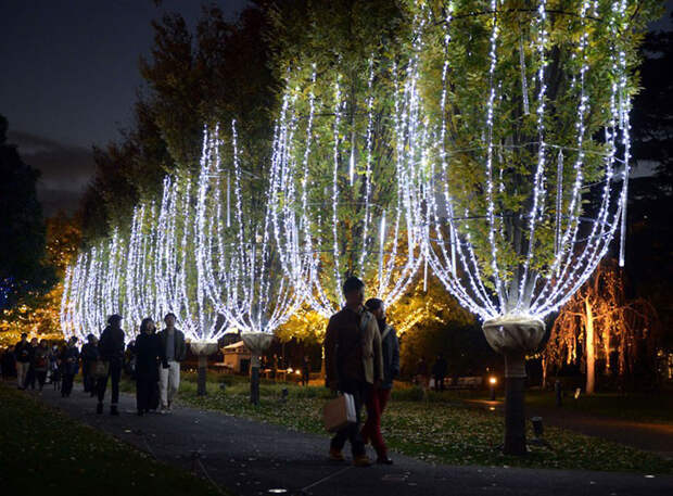 Christmas trees and lights 17 Ёлки и праздничные огни по всему миру