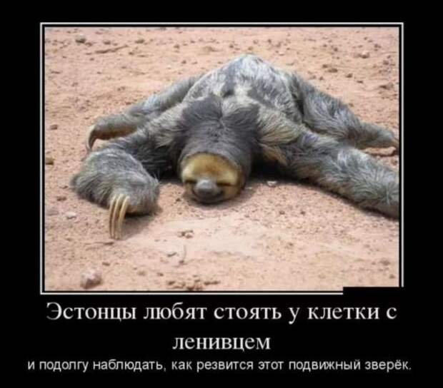 Демотиваторы. Подборка chert-poberi-dem-chert-poberi-dem-24040919052020-7 картинка chert-poberi-dem-24040919052020-7