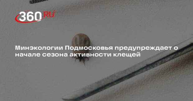 В Подмосковье активизировались клещи из-за потепления