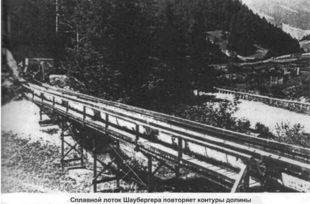 Виктор Шаубергер. Сила природной геометрии, изображение №2