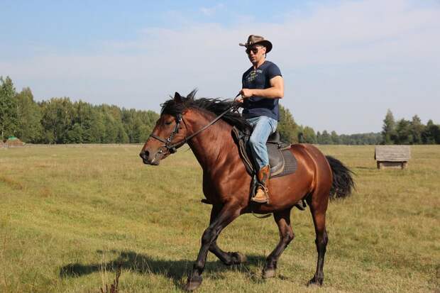 Андрей Абрамов на лошади 