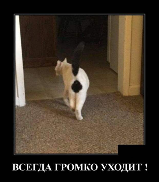 Демотиваторы (30 фото)