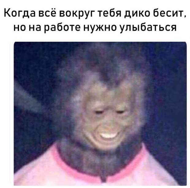 Подборка картинок. Вечерний выпуск (20 фото)