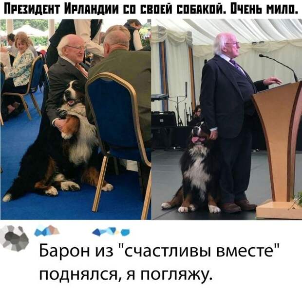 kartinok-prikolnyh-podborka-kartinki-smeshnye-kartinki-fotoprikoly