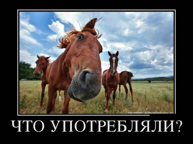 Позитивные демотиваторы на утро (11 фото) Позитивные демотиваторы на утро (11 фото)