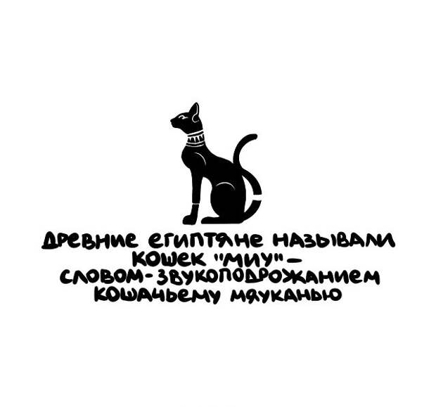 Интересные, но короткие факты на все случаи жизни