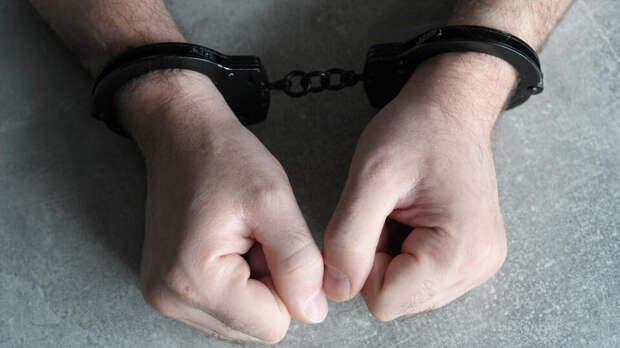 Сходку язычников-неонацистов накрыли на концерте в Ярославле