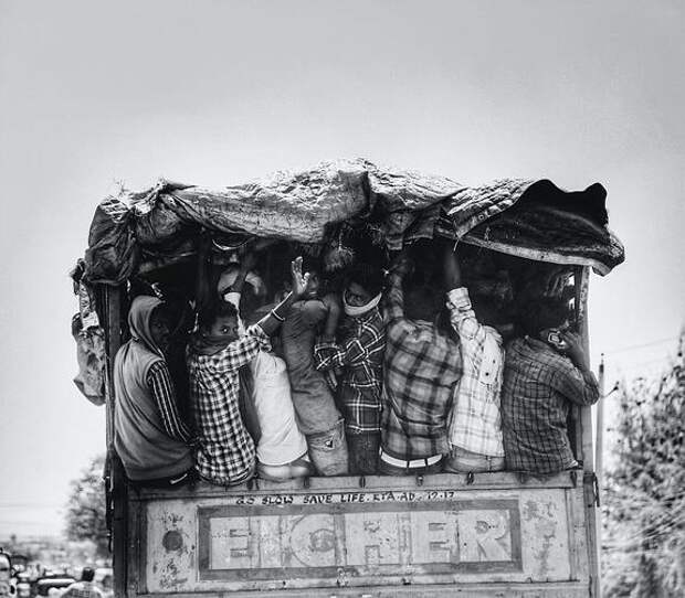 Мигранты навязывают принимающему обществу свои культурные коды