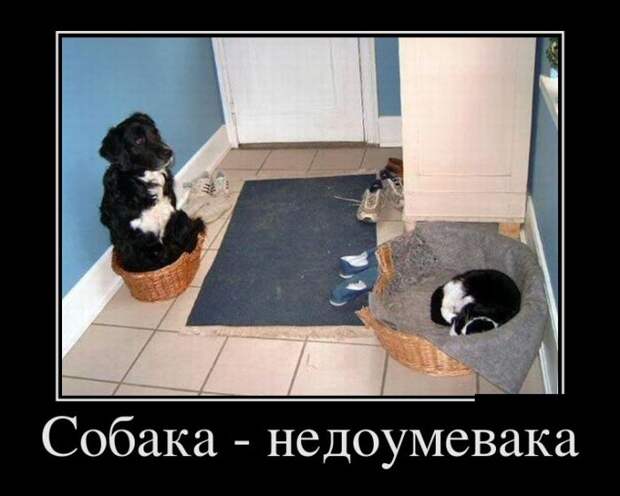 Демотиваторы (30 фото)