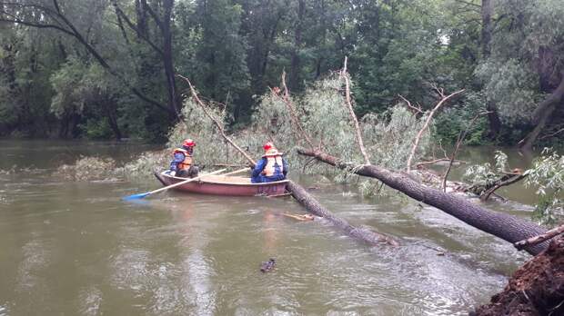 Поваленные деревья выловили из реки Иж спасатели Ижевска