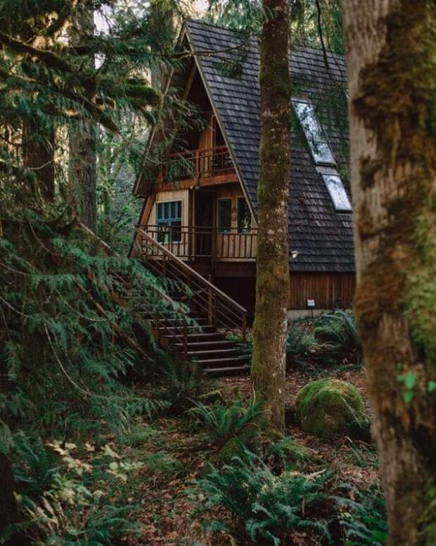 красивый дом в лесу фото - 06