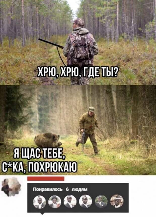 Смешные комментарии к постам в социальных сетях