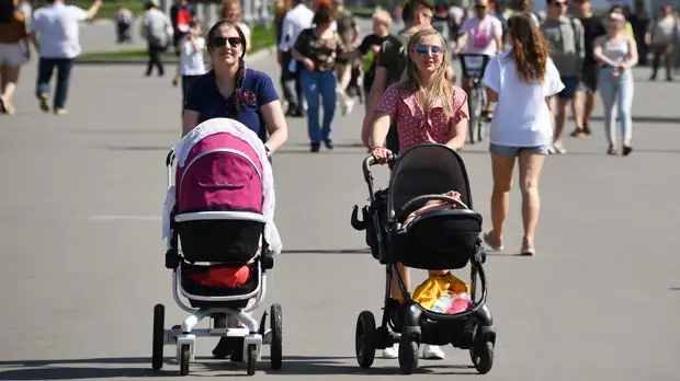 Юрист Шакина прокомментировала решение правительства о выплатах семьям с детьми