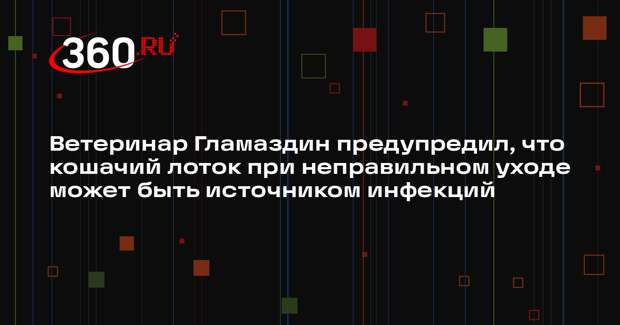 Ветеринар Гламаздин предупредил, что кошачий лоток при неправильном уходе может быть источником инфекций